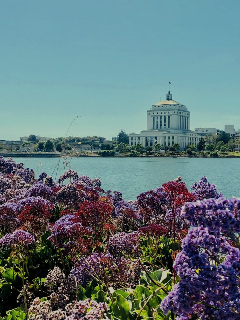 Lake Merit Oakland