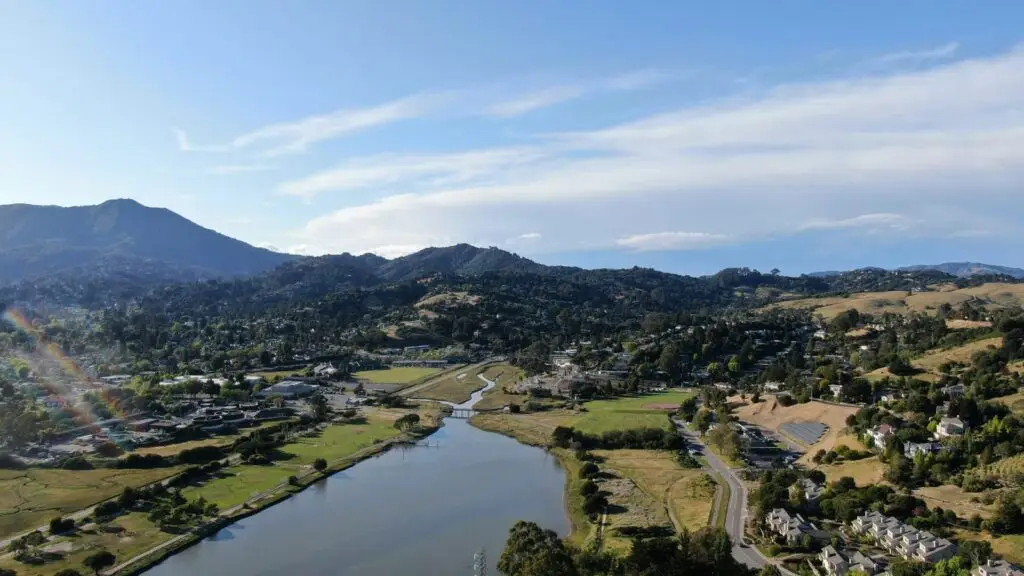 Marin County homes and hillside towns from Sausalito to Novato, July 2026 market update