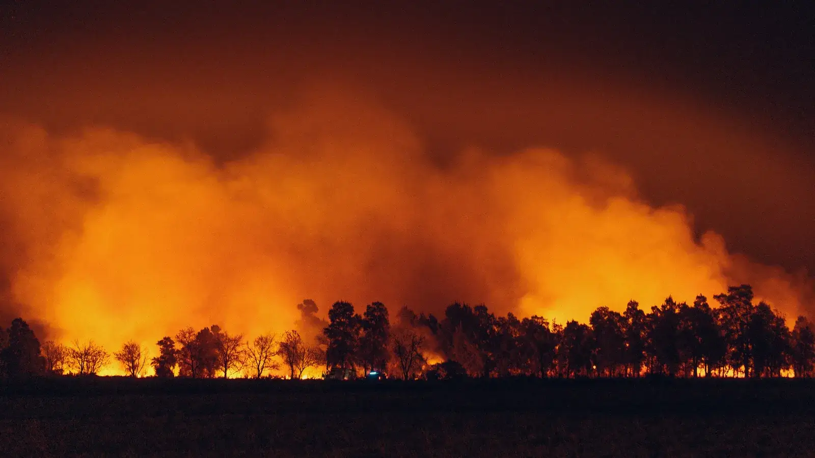 Nighttime wildfire glowing orange behind a treeline near homes